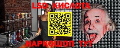 эйфоретик Жуковский